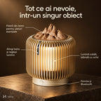 Funcții difuzor NIRU LumoAroma: piatră din lemn, bară tactilă pentru lumină și buton Bluetooth